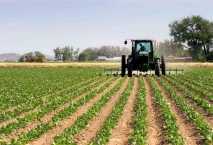 خطة لطرح أطلس سيوة للتنمية الزراعية في البورصة 