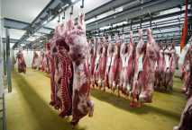 تراجع أسعار اللحوم في الأسواق المحلية اليوم الثلاثاء 