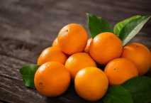 بدء موسم تصدير البرتقال غدا 