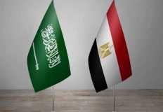 ارتفاع التجارة بين مصر والسعودية إلى 9,5 مليارات دولار والاستثمارات السعودية  تقترب من نصف مليار بنمو 51 %