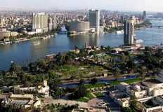 محافظة القاهرة: 101.6 مليون نخلة في نطاق أحياء القاهرة خلال 2021