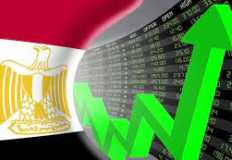 قبل رفع الفائدة الأمريكية .. خبراء يطالبون بمحفزات لتعزيز الاستثمار الأجنبي في مصر