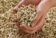 الزراعة : تحديد سعر عادل لشراء الذرة من المزارعين ضمن منظومة الزراعة التعاقدية