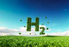 "هني ويل" تسعى للاستثمار في البتروكيماويات والوقود الأخضر