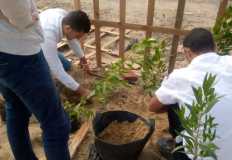 "البيئة" تطلق مبادرة لزراعة 5 ملايين شجرة بالمدن الجديدة في الجيزة