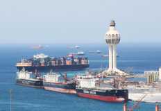 مفاوضات مع السعودية لسرعة الإفراج عن الشحنات الزراعية بميناء جدة
