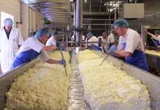 بعد تضاعف اسعار الاوروبية .. الإستثمار فى صناعة الأجبان مفتاح مواجهة ازمة الاستيراد