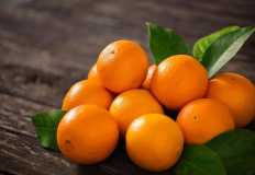 مصر تحصد المركز لأول في قائمة كبار مصدري البرتقال عالمياً