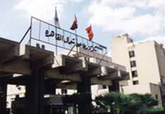 مطاحن شمال القاهرة : ارتفاع الأرباح بنسبة 255% في 11 شهر