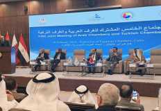 مصر تدعو إلى تعاون عربي تركي للاستثمار في مجالي التصنيع والتصدير