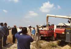 الزراعة تشهد افتتاح موسم حصاد القمح في سيناء