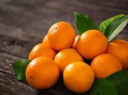 بدء موسم تصدير البرتقال غدا