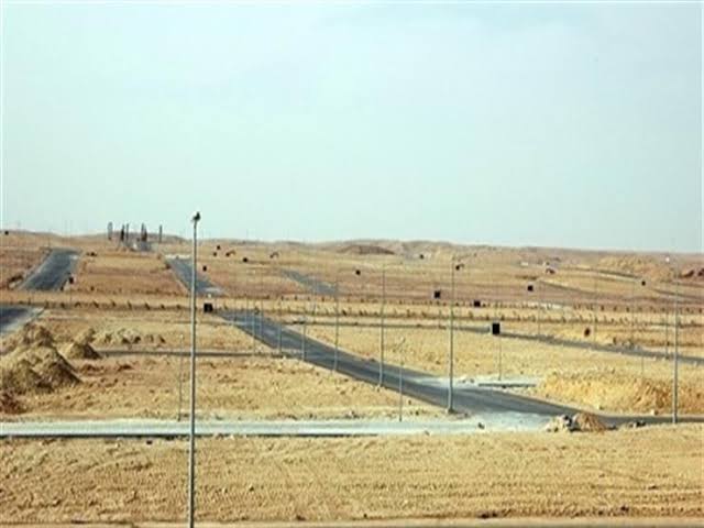 "مختار إبراهيم" تطرح 100 ألف متر أراض ٍ غير مستغلة للبيع