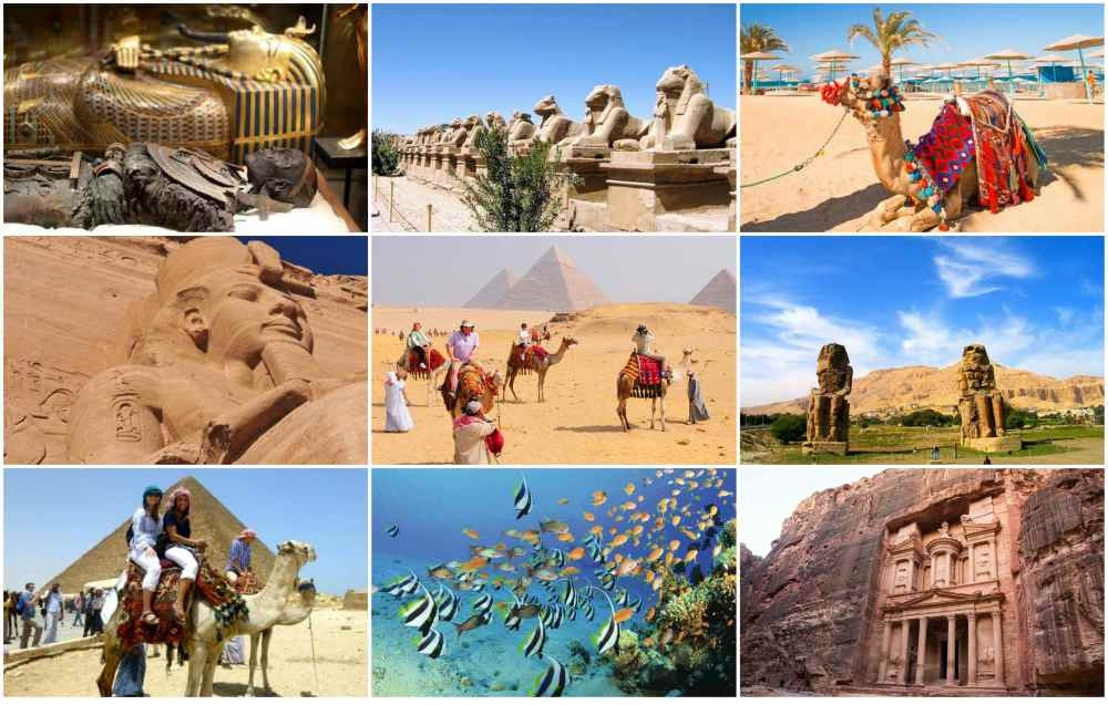 حملة  الترويج لمصر في السوق العربية تحقق نتائج إيجابية