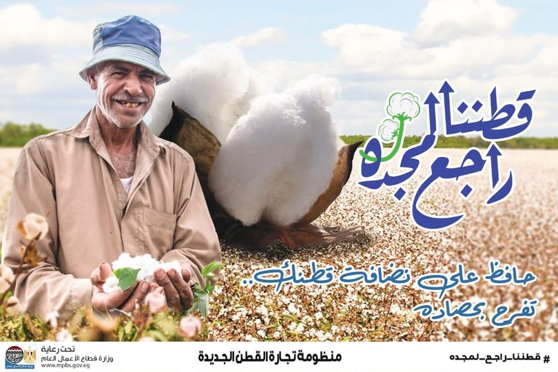 قطاع الأعمال:  3865 جنيها لقنطار القطن بمزاد الفيوم