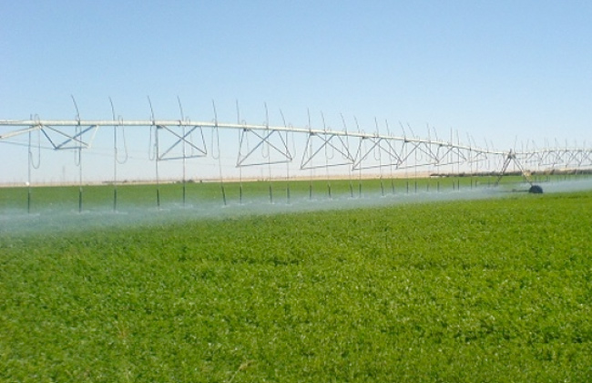 الريف المصري": إتمام البنية التحتية بمشروع الـ1,5 مليون فدان قبل طرحها للمزارعين والمستثمرين