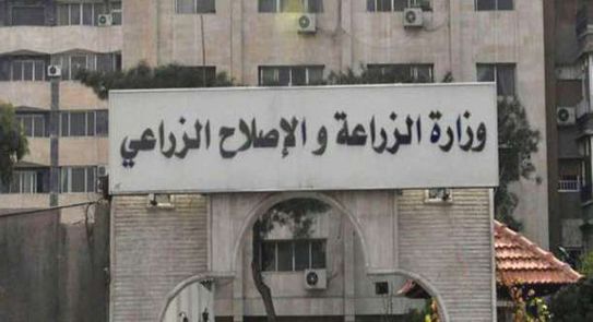 منصة تفاعلية لمنتدى الزراعيين للإجابة عن استفسارات المزارعين والمرأة الريفية