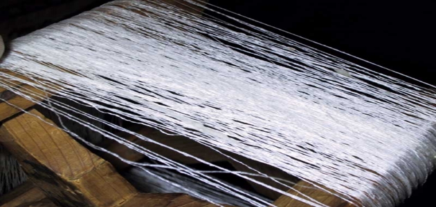 صناعة الحرير تدخل حيز إهتمامات الحكومة.. خطة متكاملة لإعادة تفعيل إنتاج الحرير