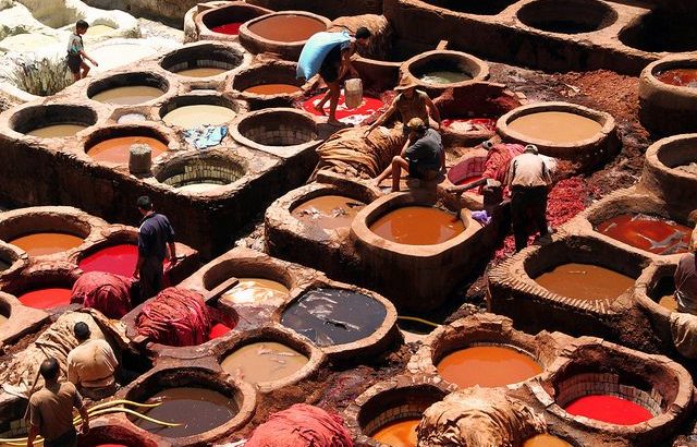 غرفة صناعة الجلود تعقد مؤتمراً للإعلان عن تدشين لجنة عليا لتنمية صناعة ودباغة الجلود