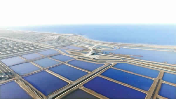 ندوة إرشادية حول تأثير المناخ على الإستزراع السمكي