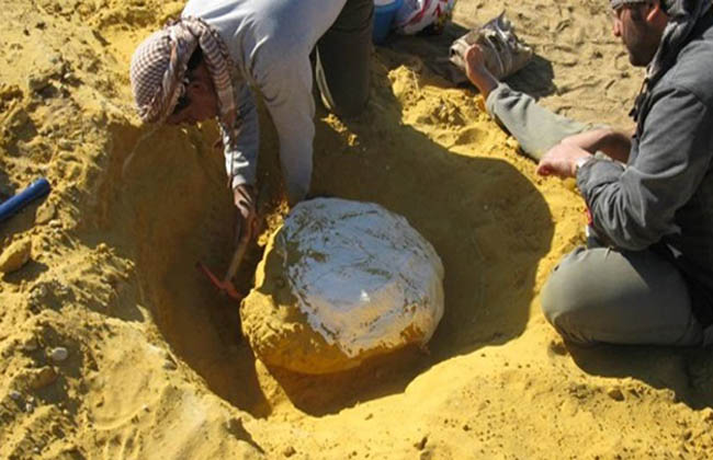 سعر الذهب اليوم الخميس 18 ديسمبر.. عيار 21 يسجل هذا الرقم