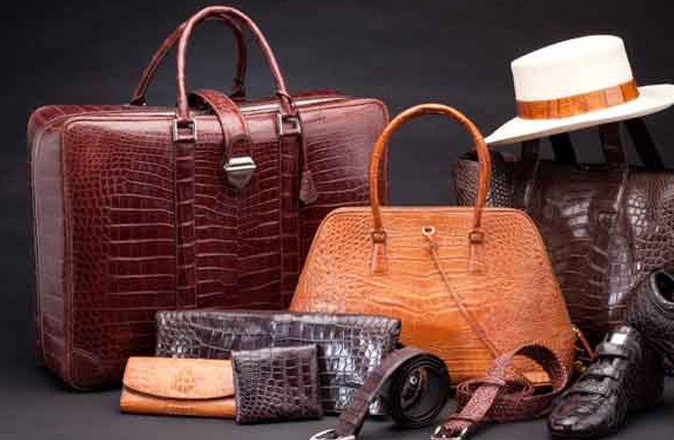 مصر استوردت أحذية وجلود بنحو 77 مليون دولار منذ بداية 2023