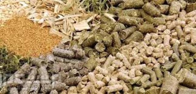 منتجي الأعلاف يجمدون انشطتهم بسبب اضطراب الإمدادات من السوق الروسي والأوكراني