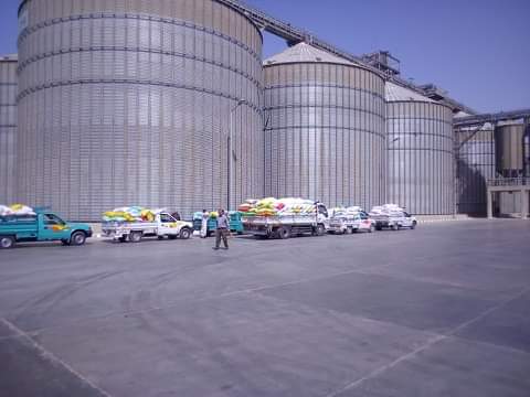 القابضة للصوامع: مخزون مصر من القمح آمن