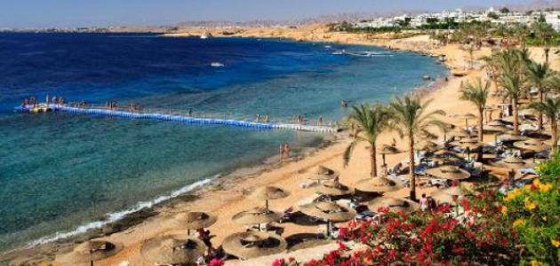 غرفة شركات السياحة بالأقصر تتفاوض لزيادة عدد الرحلات الأسبوعية