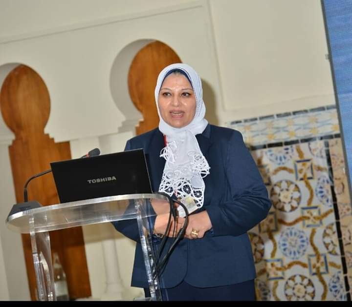 مشالى رئيسا للشركة المصرية لنقل الكهرباء لمدة 3 سنوات