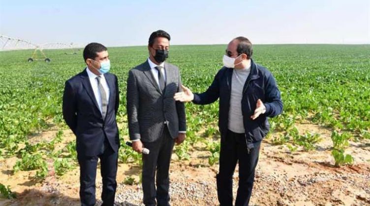 الانتهاء من زراعة 350 ألف فدان من مشروع "مستقبل مصر" الزراعي