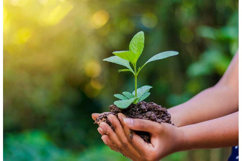 في يوم "البيئة" .. مصر الـ21 عالميا في مؤشر أداء تغير المناخ