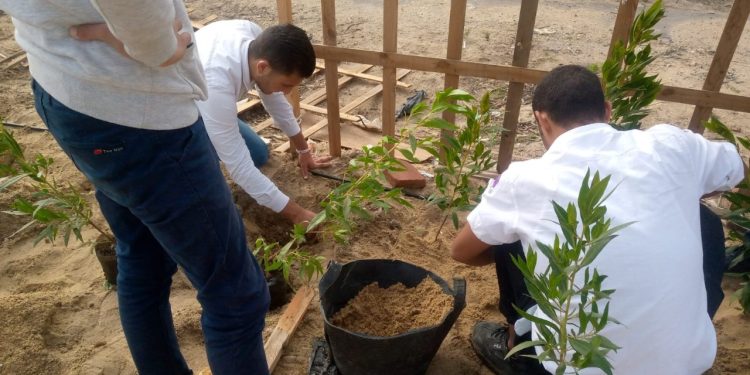 "البيئة" تطلق مبادرة لزراعة 5 ملايين شجرة بالمدن الجديدة في الجيزة