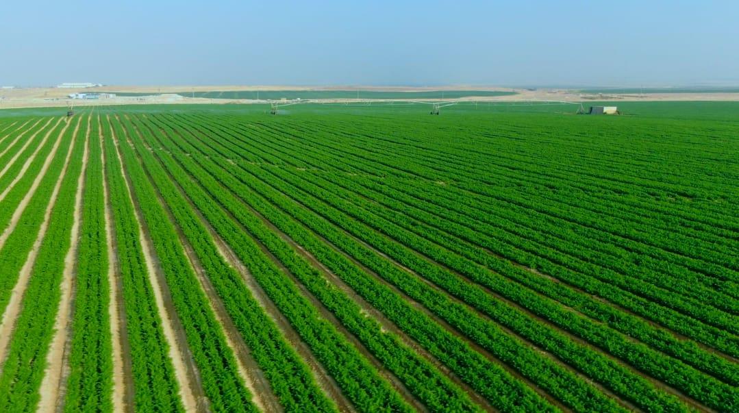 رئيس الوزراء يكلف بتوفير كل المتطلبات  لمشروع "مستقبل مصر"