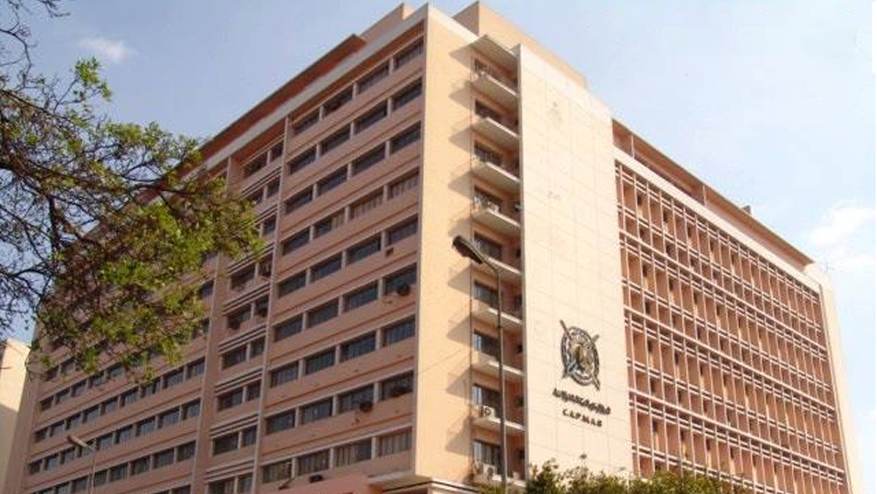 الإحصاء : ارتفاع إجمالي المساحة المحصولية في مصر بنسبة  1.3%