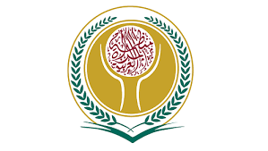 لأول مرة بالشرق الأوسط.. مصرية تفوز بجائزة القيادة العالمية من منظمة المرأة في قطاع التكنولوجيا