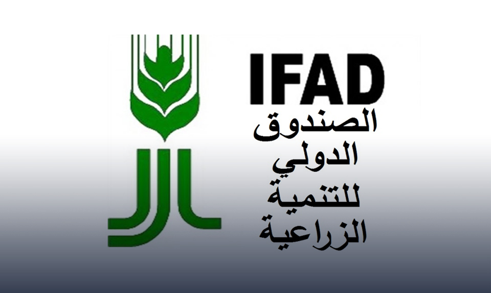 بعد مباحثاته مع مصر .. الإيفاد يمد مشروع SAIL الزراعي لـ18 شهرًا إضافية