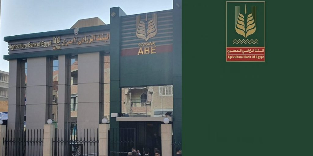 البنك الزراعي يؤسس شركة لإنتاج تقاوى البطاطس بالتعاون مع تحالف دولي