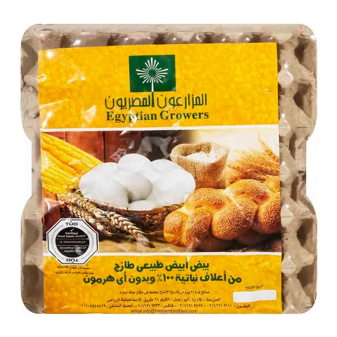 «المزارعون المصريون»: ارتفاع أسعار الأعلاف أدى إلى زيادة المبيعات دون تحقيق الربح العادل