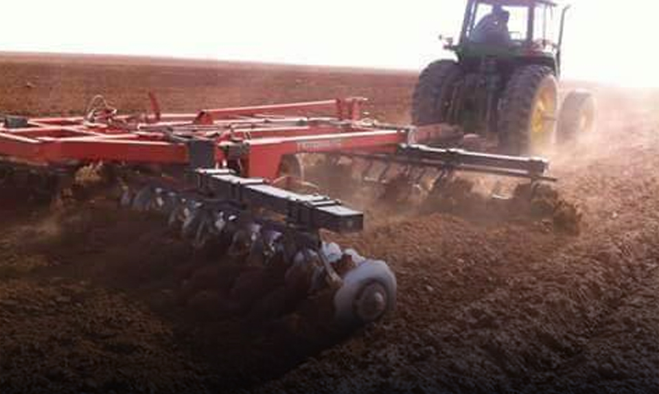 مبادرة لتشجيع زراعة المحاصيل الاستراتيجية الصيفية ضمن مشروع المليون ونصف مليون فدان