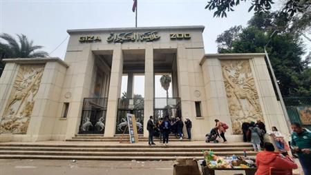 الزراعة تنفي قطع الأشجار بحديقة الحيوان