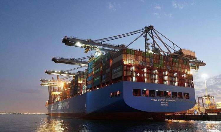 خدمات ملاحية لنقل البضائع من الإسكندرية إلى بيروت و3 موانيء إيطالية