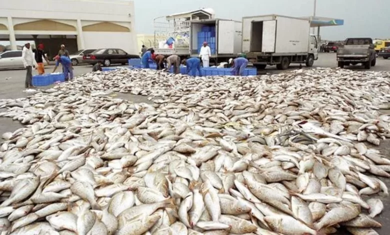 الأولى أفريقياً والسادسة عالمياً.. مصر تحقق الاكتفاء الذاتي من الأسماك بنسبة 85%