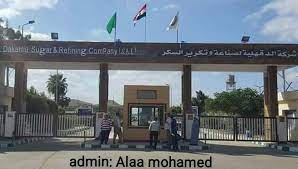 اجتماع شركات السكر يحدد زيادة سعر التوريد لمحصول البنجر .. والطن يقترب من 1500 جنيه