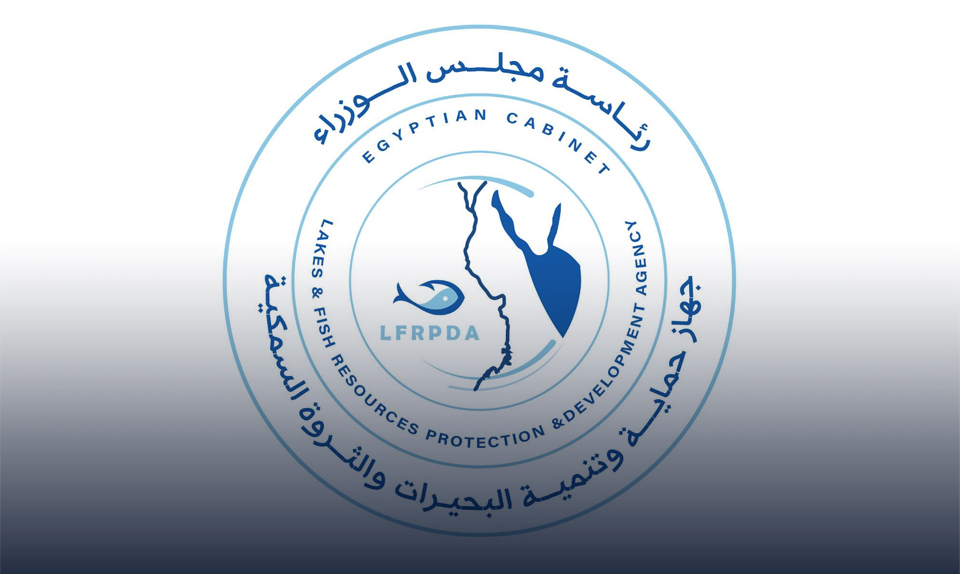 جهاز تنمية البحيرات: وصول حجم انتاج مصر من الثروة السمكية إلى مليوني طن سنويا