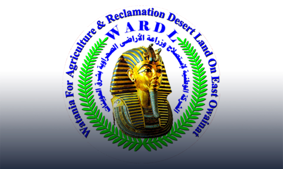 مسؤول: زراعة 460 ألف فدان في منطقي توشكي وشرق العوينات خلال الثماني سنوات الاخيرة