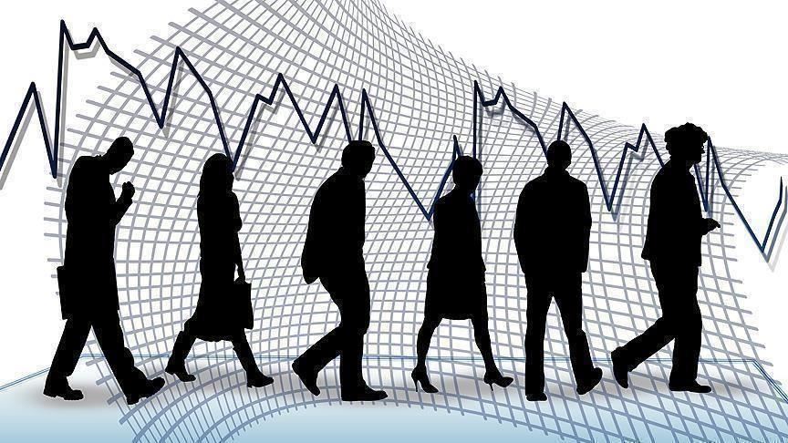 تراجع 7,1% نسبة البطالة في مصر .. والزراعة والصيد في صدارة أنشطة العمل