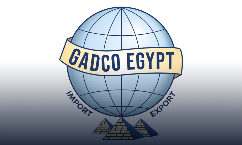 تصدير 700 طن ثوم من "جادكو إيجيبت" إلى أسواق آسيا وأستراليا وإيطاليا