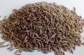 الكمون البلدي يسجل ارتفاعات قياسية بسبب إقبال المنتجين على تصديره