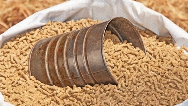 تجار: عودة الهدوء الى اسعار الأعلاف بالأسواق